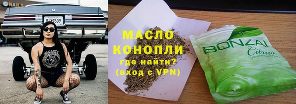 индика Аркадак