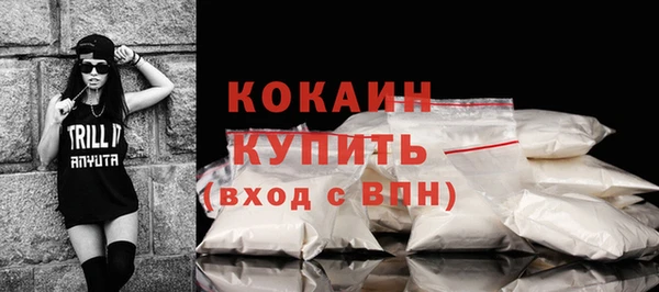 индика Аркадак
