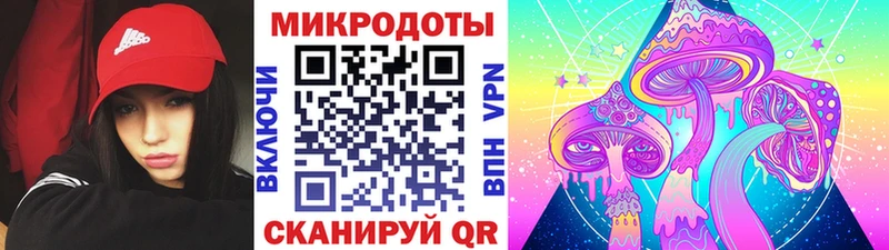 Галлюциногенные грибы мицелий  Купить  Ставрополь 